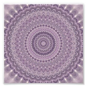 Paarse veren mandala foto afdruk