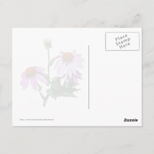 Paarse verklikstof briefkaart (Achterkant)