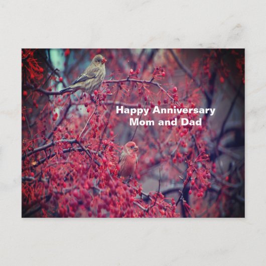 Paarse vinken briefkaart (Voorkant)