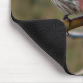 Paarse vinkmagneet muismat (Hoek)