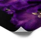 Paarse Vintage Delphinium Poster (Hoek)