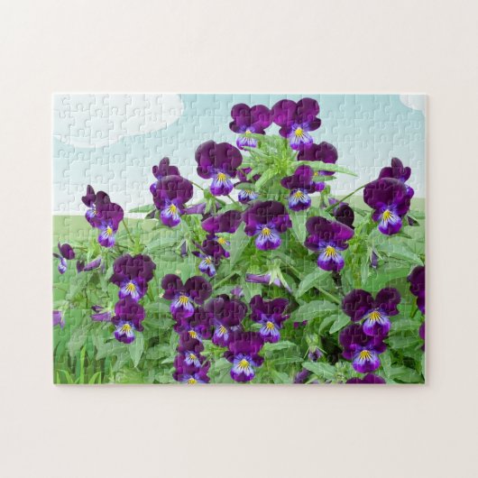 Paarse Viola Flower Legpuzzel (Horizontaal)