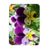Paarse Viola Pansy Bloemkaart Magneet (Verticaal)