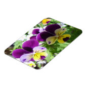 Paarse Viola Pansy Bloemkaart Magneet (Linkerzijde)