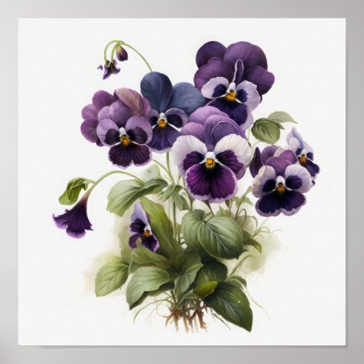 Paarse Violas Bloem Kunstprint Poster (Voorkant)