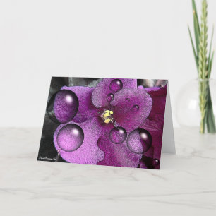 Paarse Violet Blank Wenskaart Kaart