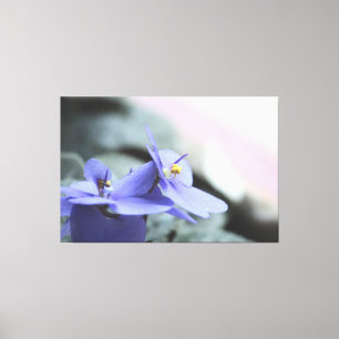 Paarse Violet Bloemdoek Canvas Afdruk