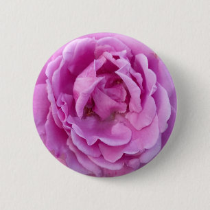 Paarse Violet Flower Roos Ronde Button 5,7 Cm
