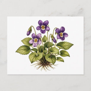 Paarse Violet Vintage Stijl Botanisch  Briefkaart