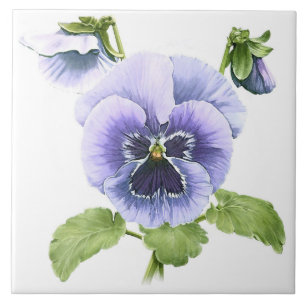 Paarse Viooltjes Bloemen Botanische Kunst Tegeltje