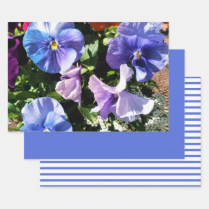 Paarse Viooltjes Bloemen Strepen en Effen Inpakpapier Vel