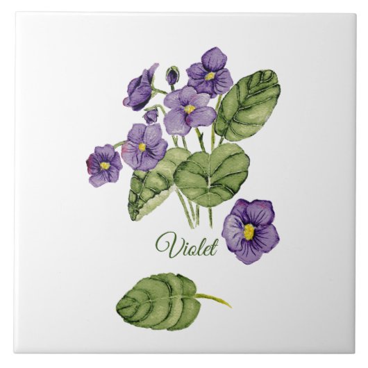 Paarse viooltjes botanische klassieke waterverf tegeltje (Voorkant)