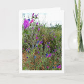 Paarse Viper's-bugloss, Echium Plant Kaart (Voorkant)