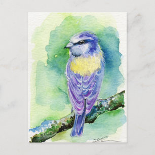 Paarse vogel briefkaart