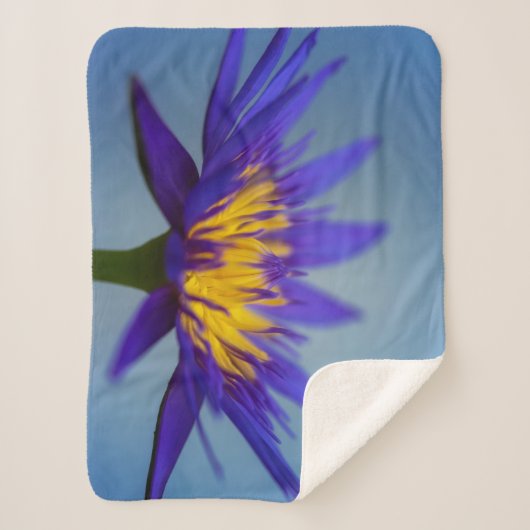 Paarse Water Lily Sherpa Deken (Voorkant)
