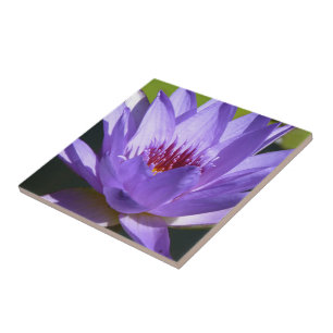 Paarse Water Lily Tegeltje