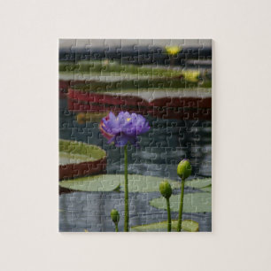 Paarse waterlily legpuzzel