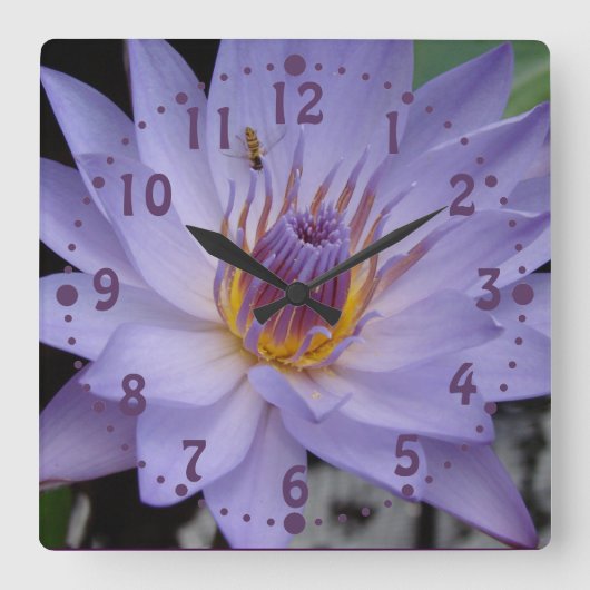 Paarse waterLily Wall Clock met Honeybee Vierkante Klok (Voorkant)