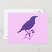 Paarse weide leeuwerik briefkaart (Voorkant / Achterkant)