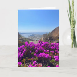Paarse Wild Flowers Santorini Griekenland Fotograf Kaart