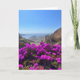 Paarse Wild Flowers Santorini Griekenland Fotograf Kaart