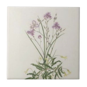 Paarse Wildbloemen Tile Tegeltje