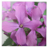 Paarse Wildbloemen Tile Tegeltje (Voorkant)