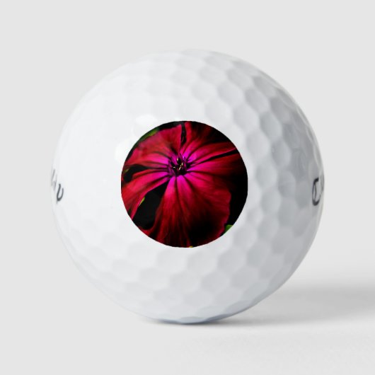 Paarse Wilde Bloem cwb gbcnm Golfballen (Voorkant)