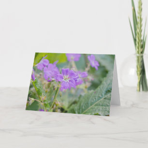 Paarse wilde bloem Purperen Ooievaarsbek Bloemenfo Kaart