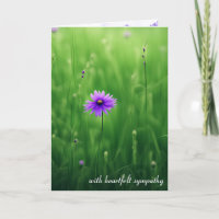 Paarse wilde bloemen Sympathie