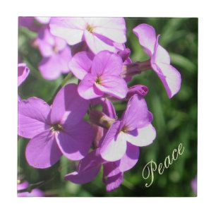 Paarse wilde bloemen - Vrede Tegeltje