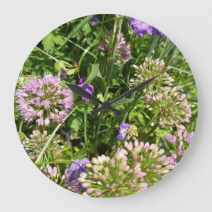 Paarse Wilde Bloementuin Klok Flora Botanisch
