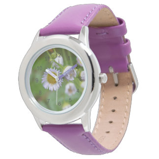 Paarse wilde madeliefje horloge