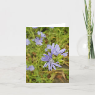 Paarse Wildflower Bloom Feestdagen Kaart