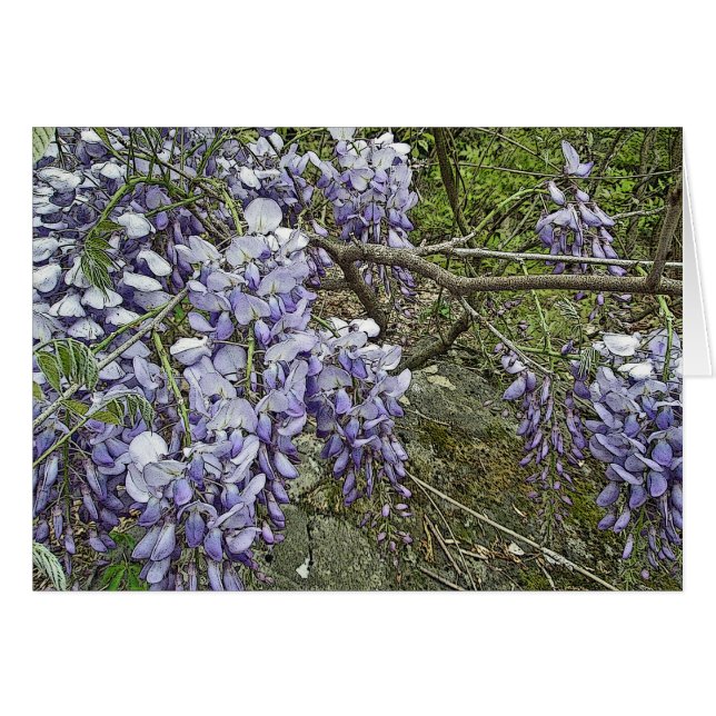 Paarse Wisteria Coordinating Items (Voorkant Horizontaal)