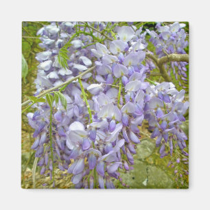 Paarse Wisteria Coordinating Items Magneet