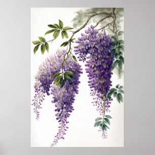 Paarse Wisteria Flowers Art Print Poster