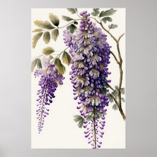 Paarse Wisteria Flowers Art Print Poster