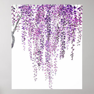 paarse wisterie in bloom poster