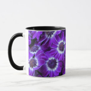 Paarse Witte Cineraria's Mok