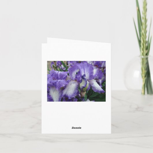 Paarse & Witte Iris, Speciale Verjaardag Kaart (Achterkant)