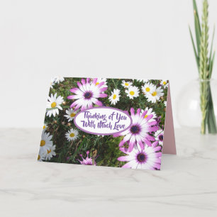 Paarse Witte Madelief Bloem Tuin Denk Aan Jou Kaart