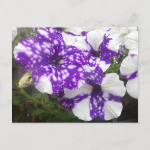Paarse Witte Tuinbloemen DIY Briefkaart