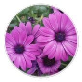 Paarse zeeduivel keramische knop (Voorkant)