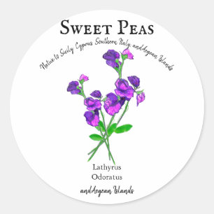 Paarse zoete erwten bloemen kunst met tekst ronde sticker
