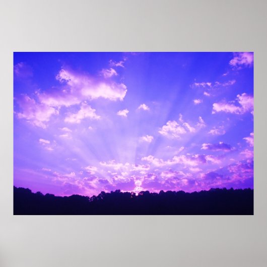 Paarse zon poster (Voorkant)