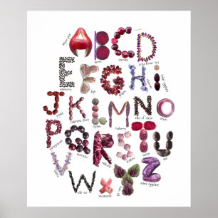 Paarsrood en Paars Alfabet Fruit en Groenten Poster