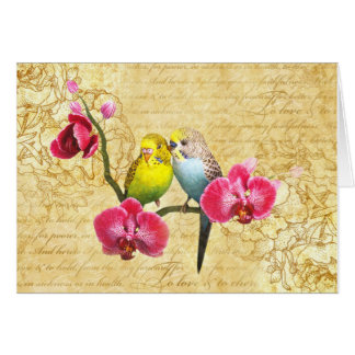 Paarten voor orchideeën