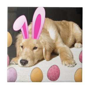 Paas Golden Retriever Puppy Tegeltje
