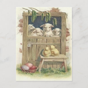 Paas Kuiken Schaap Schuur Gekleurde Geschilderde E Feestdagenkaart